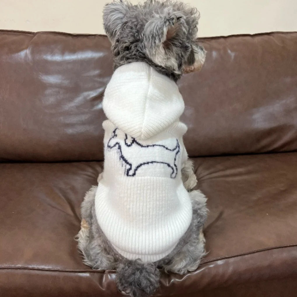 British Gentleman Knit Zipper Dog Coat — Classic Style Winter Sweater for Small Dogs | S–XXL