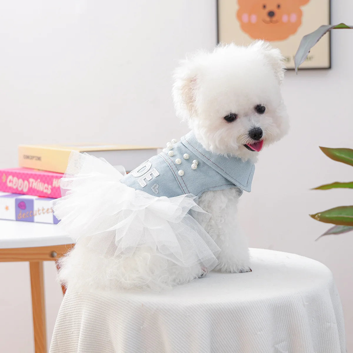 Bride Apparel For Dogs Autumn Denim Coat With Tutu Skirt Pet Dresses For Small Puppy Animal Cat Dachshund Suit Chihuahua Clothes Fashioned Furbabies