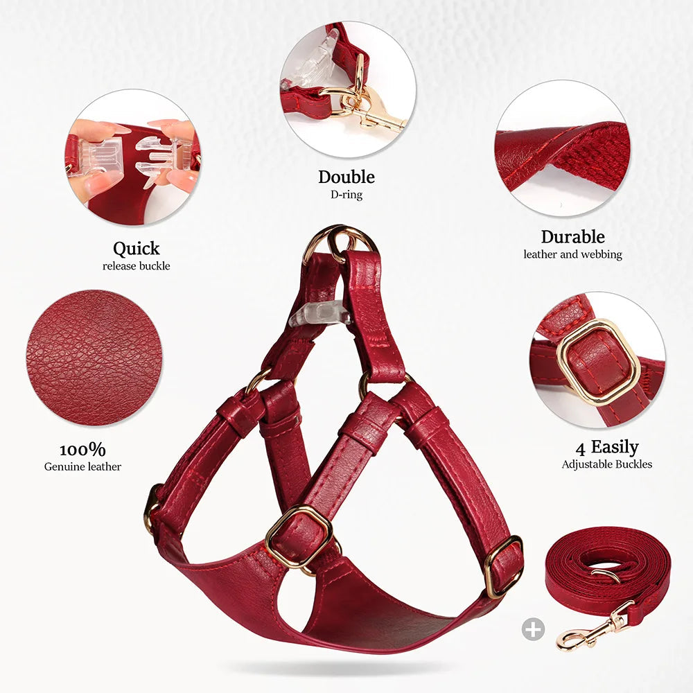 Soft Genuine Leather Dog Harness Leash Set Small Medium Dogs Cats Harness Vest For Chihuahua French Bulldog Walking Training Fashioned Furbabies
