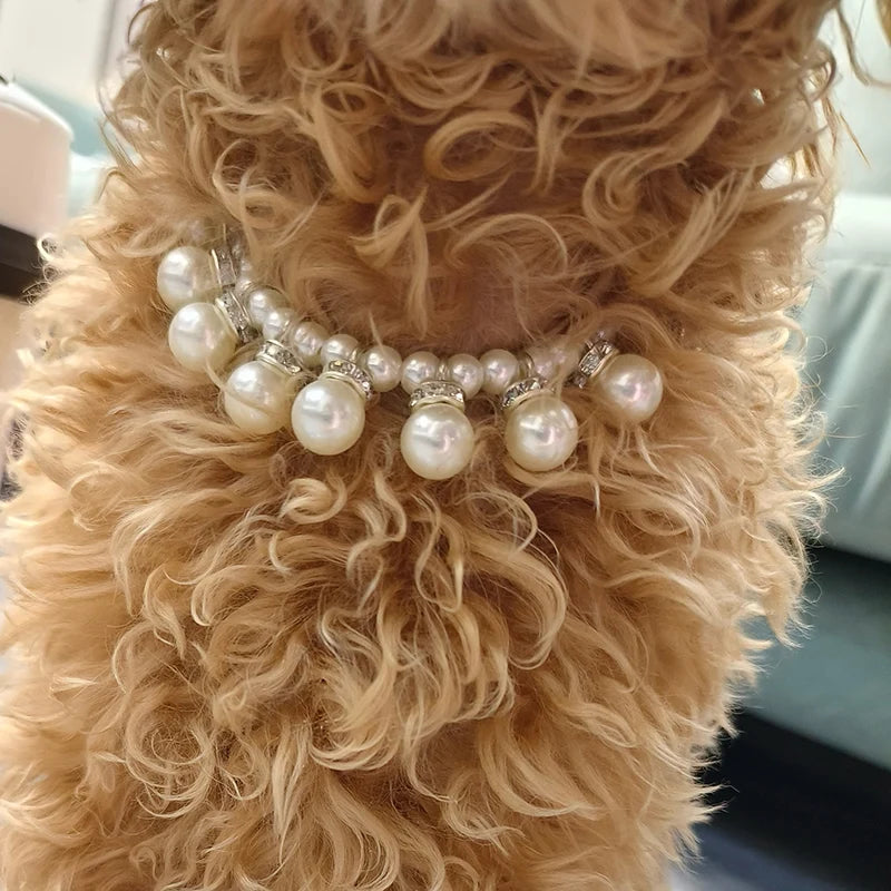 Luxury Pearl & Rhinestone Dog Necklace Collar | Bling Pet Collar | S–L