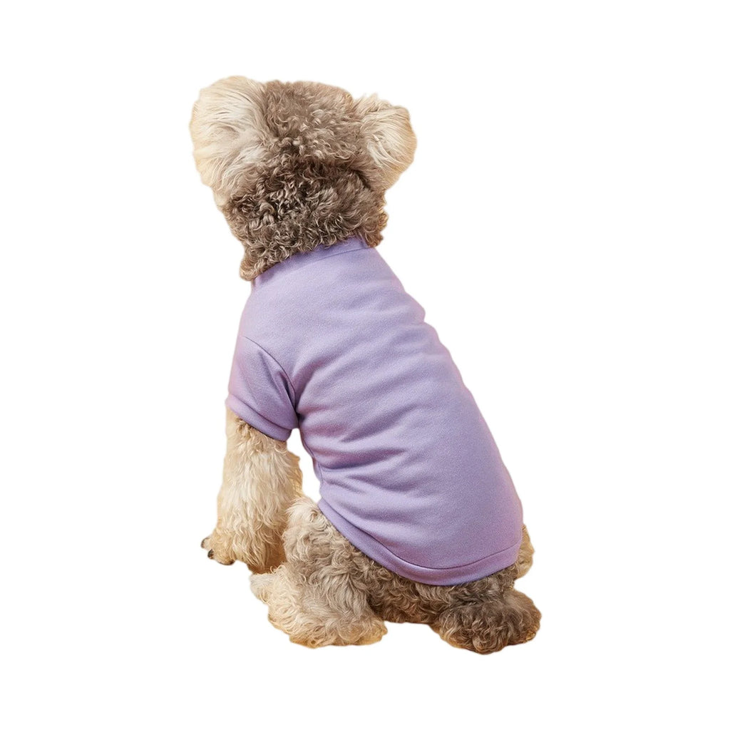 Lightweight Dog T-Shirt