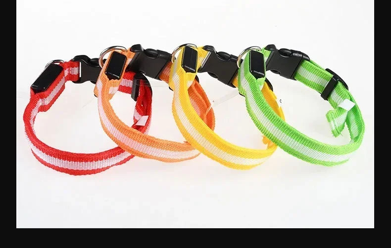 LED Glow Dog Collar & Leash | Nylon Night Safety Flashing Collar