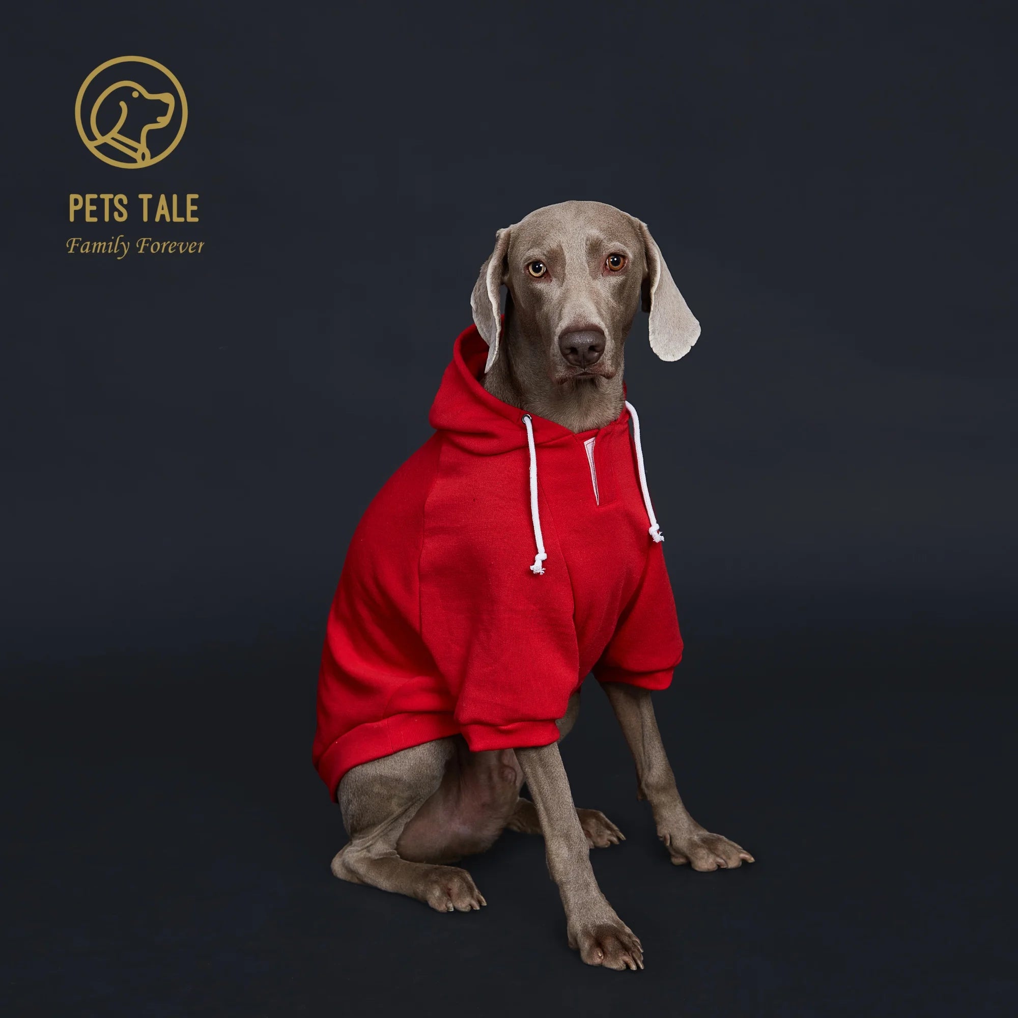 Dog Hoodie with Pocket, Leather Patch, Hook and Loop Fastener Collar -