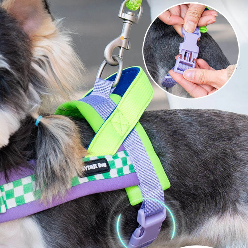 Plaid Saddle-Style Puppy Harness & Leash Set