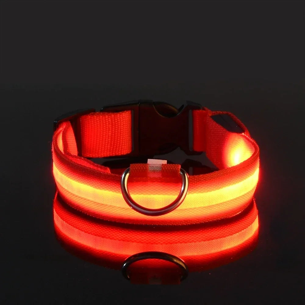 LED Glow Dog Collar & Leash | Nylon Night Safety Flashing Collar