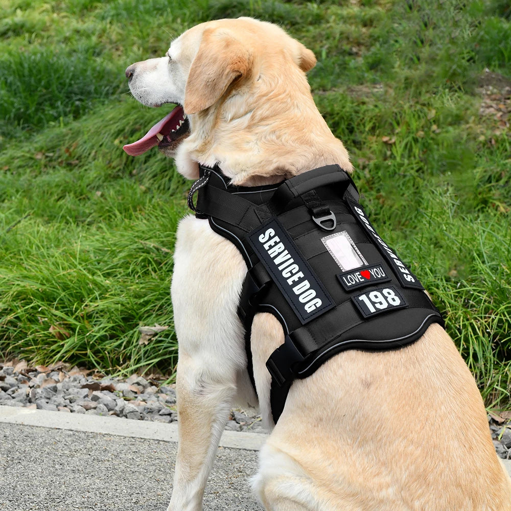 Service Dog Vest & No-Pull Harness with 4 Patches — Reflective, Padded Handle | S, M, L