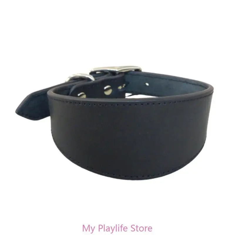 Padded Leather Sighthound Dog Collar