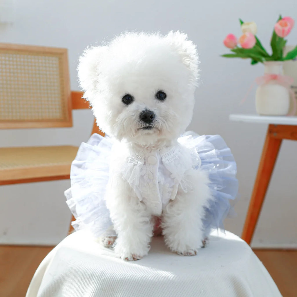 Princess Dog Dress