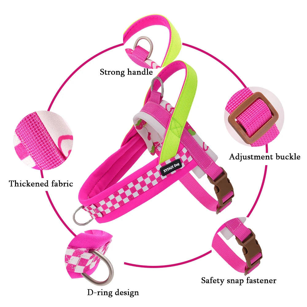 Plaid Saddle-Style Puppy Harness & Leash Set