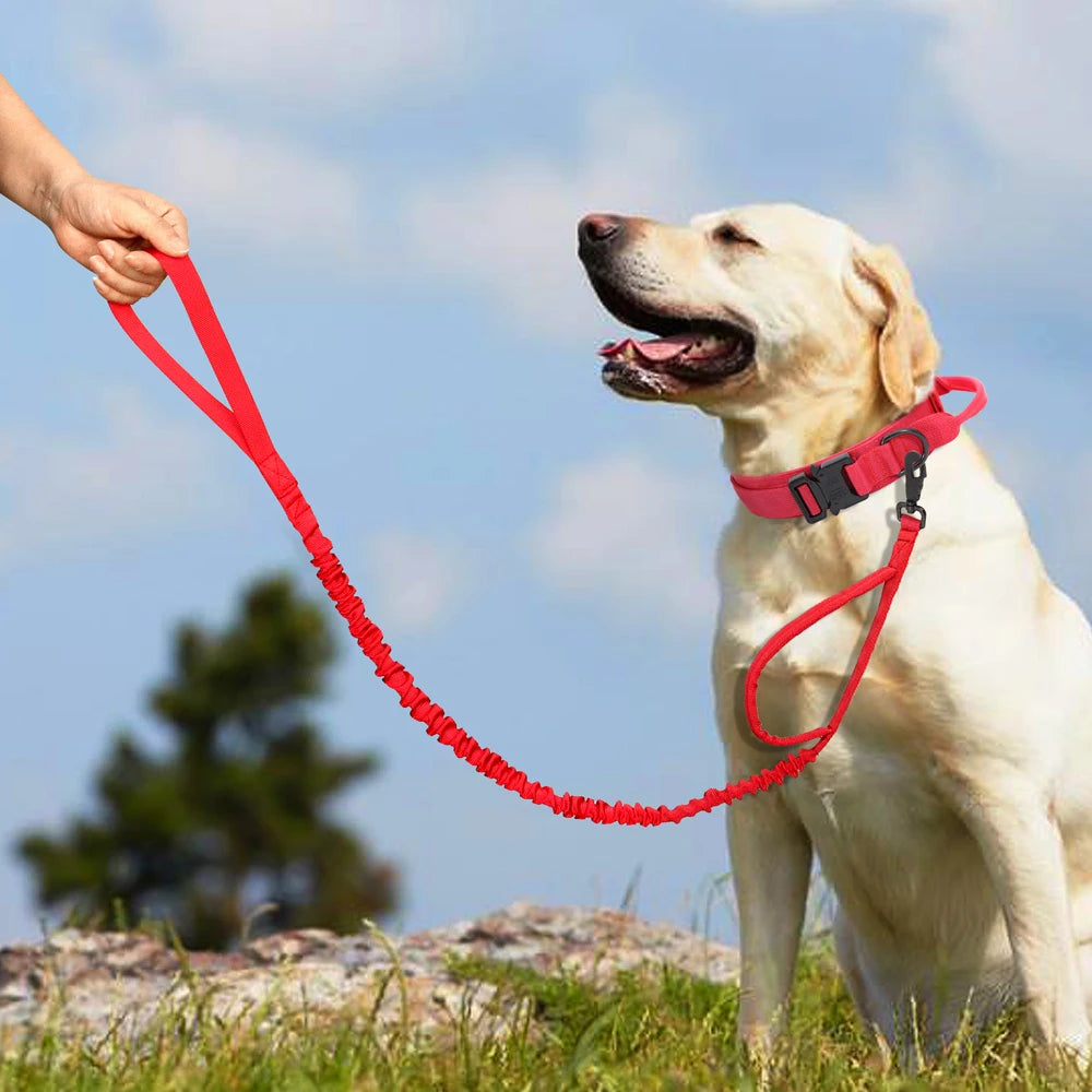 Durable Military Tactical Dog Collar Bungee Leash Set Pet Nylon Walking Training Collar For Medium Large Dogs German Shepard Fashioned Furbabies