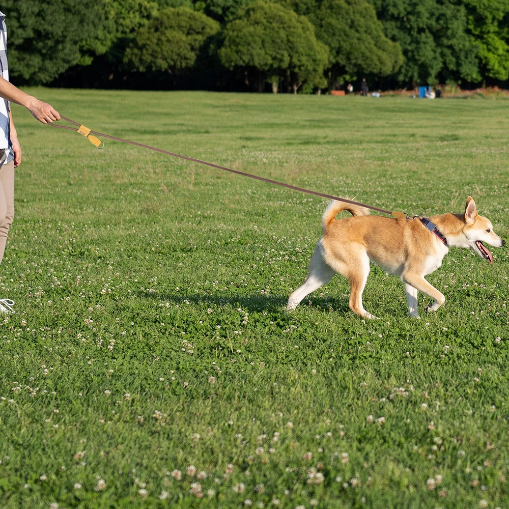 Hands-Free Running Dog Leash with Waist Belt