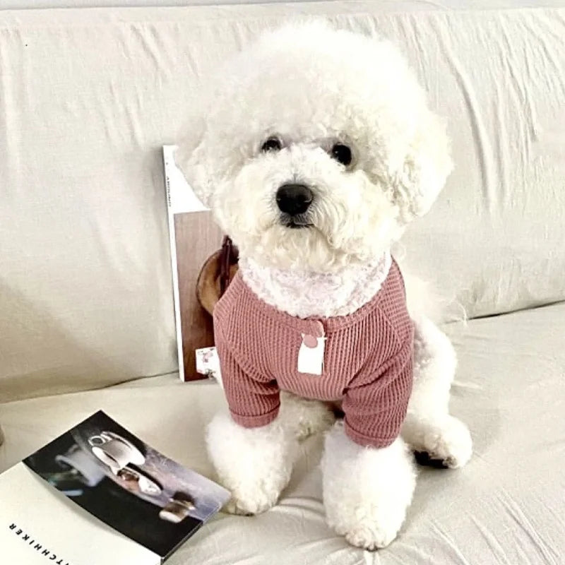 Autumn Winter Dog Shirt Soft Dog Clothes Cute Solid Puppy Bottoming Shirt Fashion Cat Vest Pet Undershirts Bichon Frise Costumes