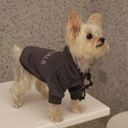 Autumn Days Dog Hoodie - Plush Warm Sweatshirt
