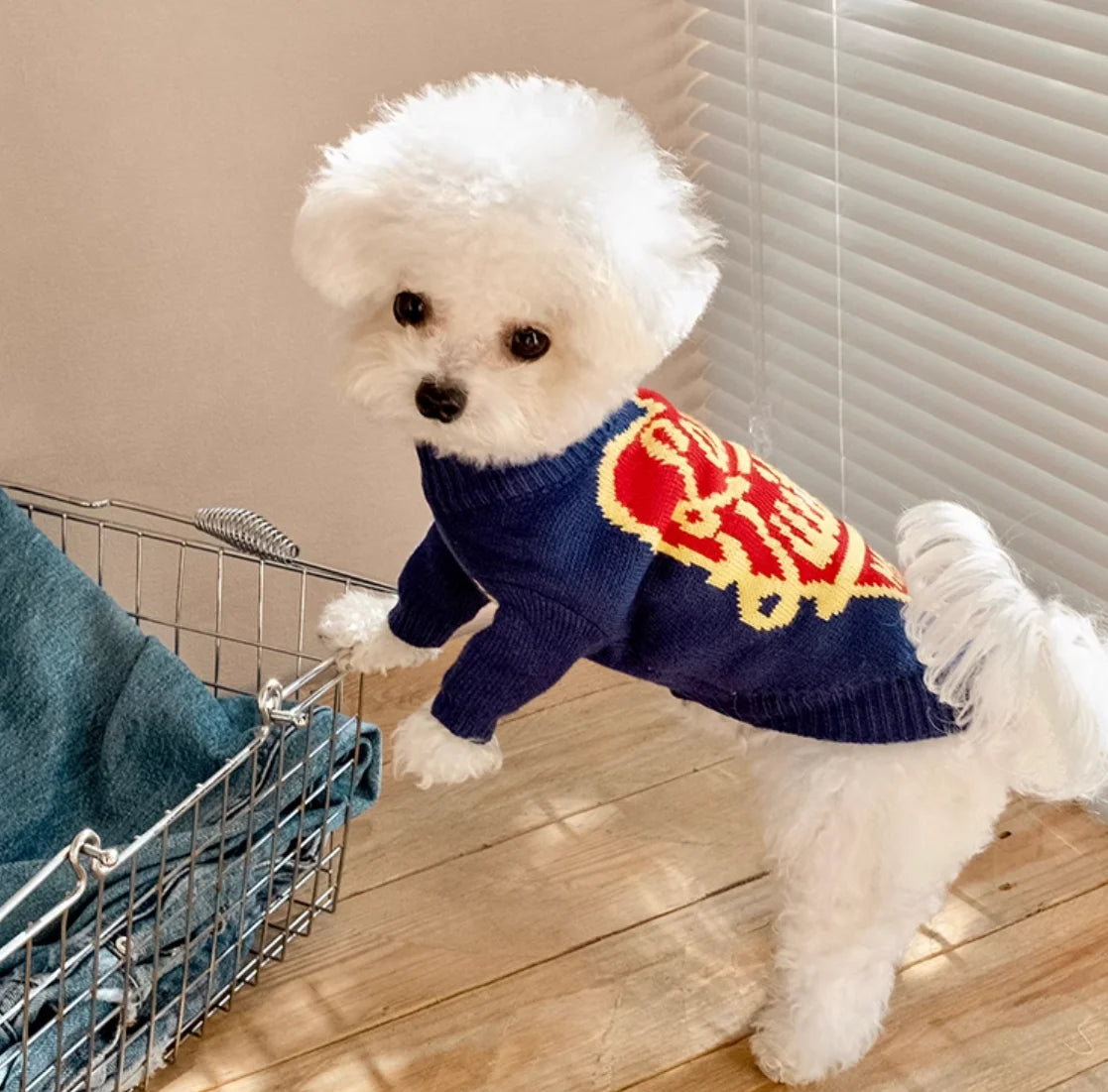 High Quality Design Dog