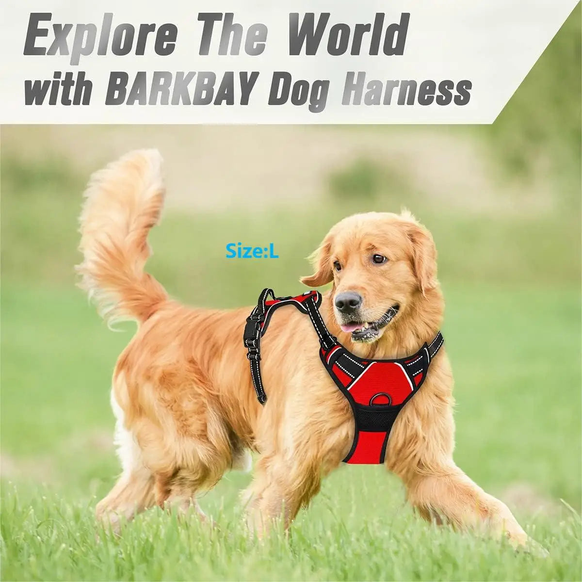 Adjustable No-Pull Dog Harness — Front Clip, Reflective & Top Handle for Medium to Large Dogs | 8 Colors | S–XL