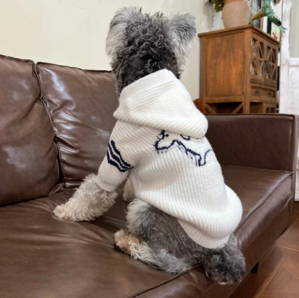 British Gentleman Knit Zipper Dog Coat — Classic Style Winter Sweater for Small Dogs | S–XXL