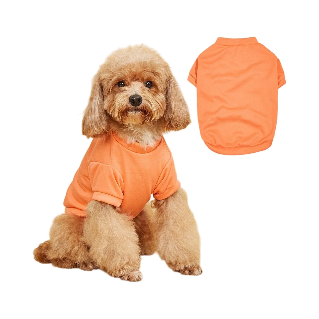 Lightweight Dog T-Shirt