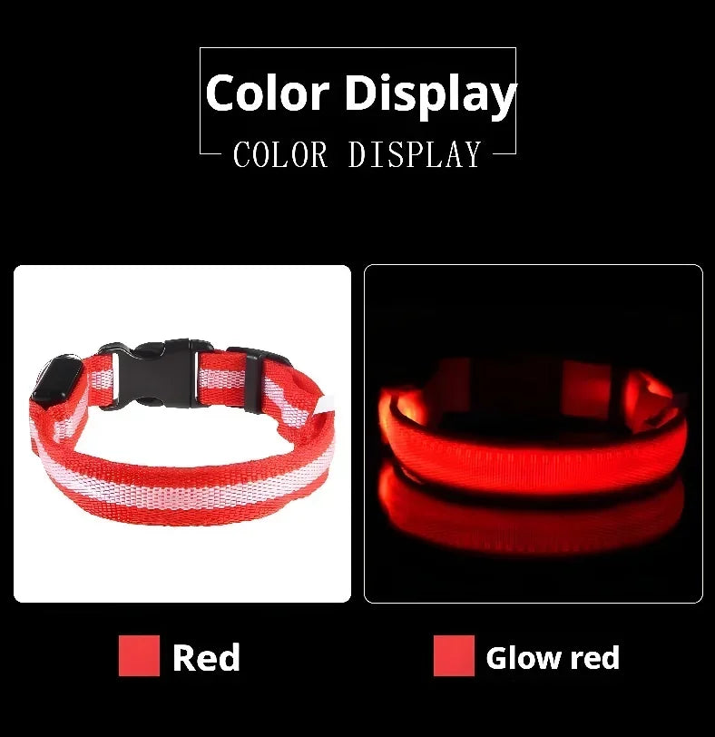 LED Glow Dog Collar & Leash | Nylon Night Safety Flashing Collar