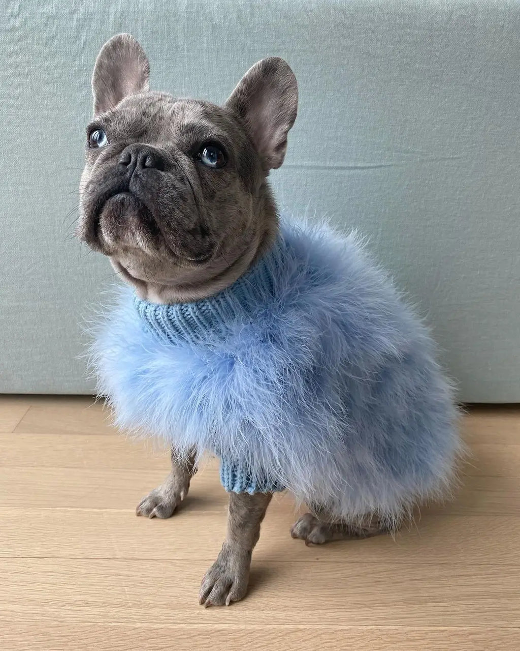 Luxury Fur Dog Coat — Warm Core Yarn Sweater for French Bulldogs, Pugs & Small Breeds | Autumn & Winter | 3 Colors
