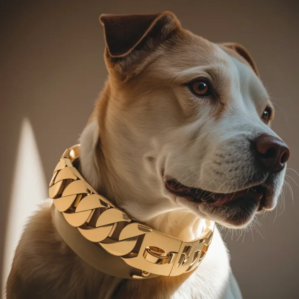 Gold Cuban Chain Dog Collar — 32mm Stainless Steel 316 Heavy Duty Collar for Large & Bully Breeds | 10 Lengths | 18K Gold