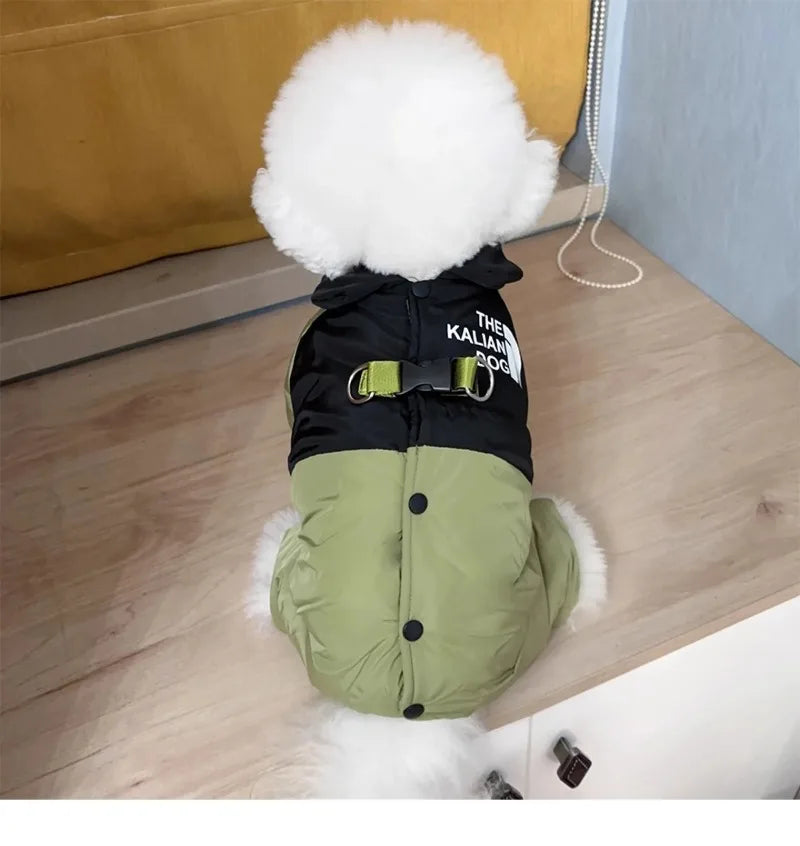 Four Legs Dog Face Design