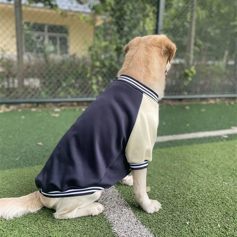 Big Dog Baseball Suit