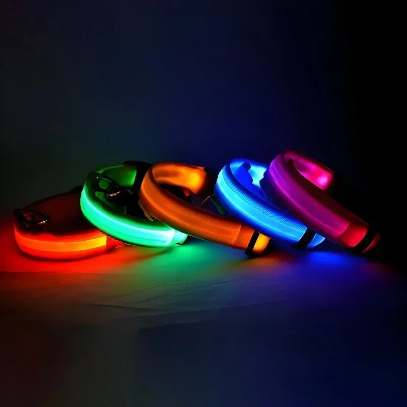 LED Glow Dog Collar & Leash | Nylon Night Safety Flashing Collar