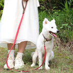 4.5ft Dog Pet Leash Rope 9 Colors PU leather Small Medium Large Dogs Nylon Padded Puppy Leashes Walking Leash Lead Ropes for Dog Fashioned Furbabies