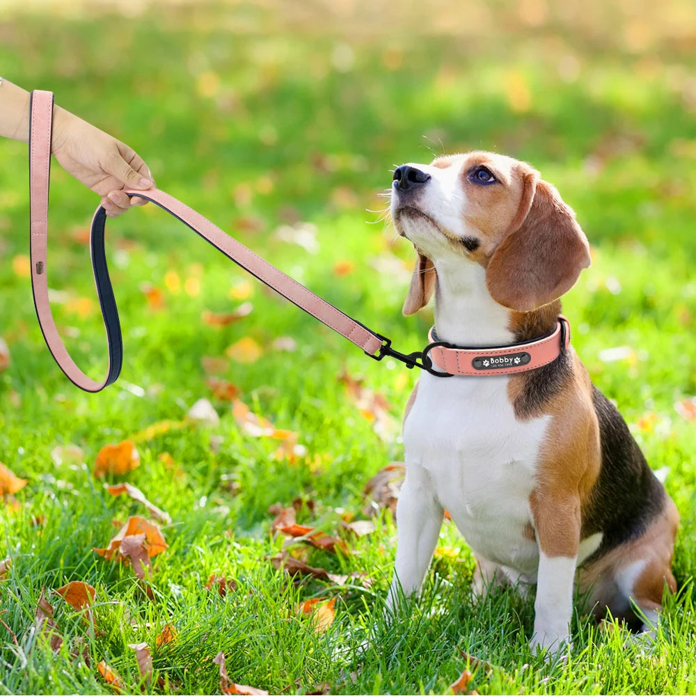 Leather Dog Collar Leash Custom Durable Leather Pet Collars and Leashes Walking Leads Strap Cusomized for Small Medium Large Dog Fashioned Furbabies
