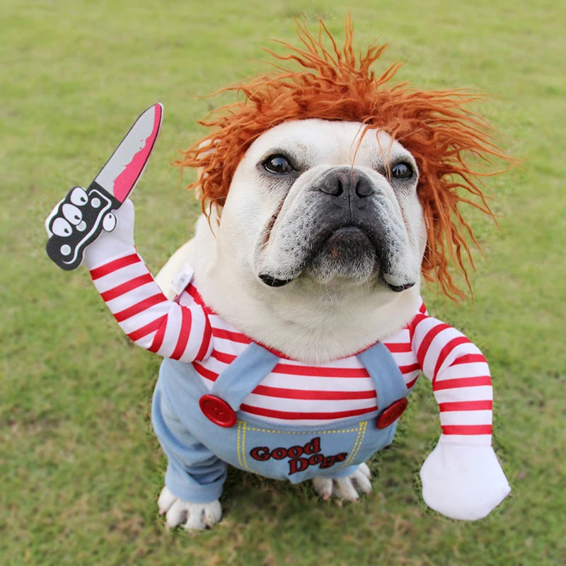 Halloween Dog & Cat Costume Set | Funny Adjustable Cosplay Outfit for Small Dogs & Cats
