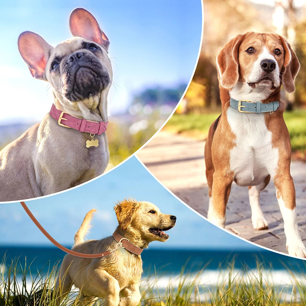 Soft Padded Leather Dog Collar | Adjustable PU Leather | S–XL