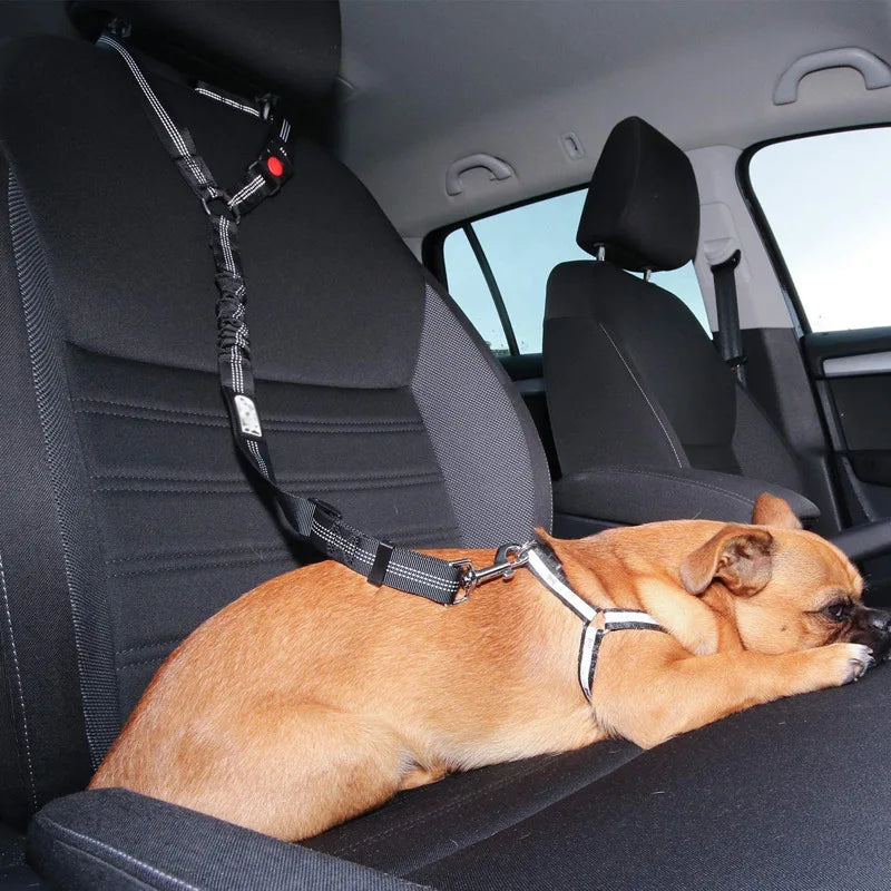 Reflective Elastic Dog Car Seat Belt & Leash