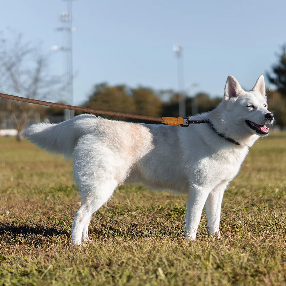 Hands-Free Running Dog Leash with Waist Belt