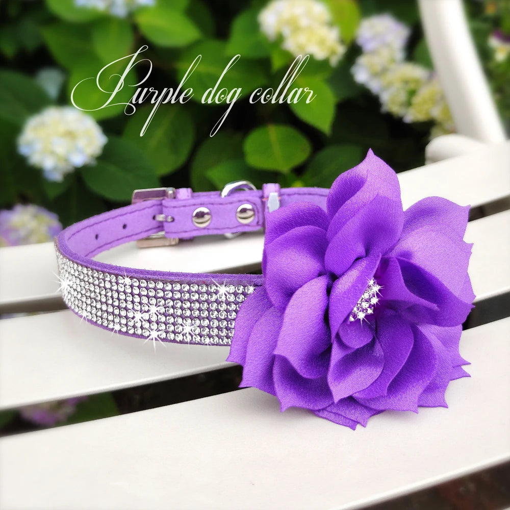Rhinestone Dog Collar — Glitter Floral Suede Leather Collar & Optional 4ft Leash Set | Black, Blue, Pink & Purple | XS–L