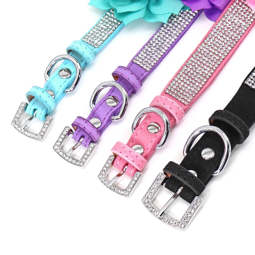 Rhinestone Dog Collar — Glitter Floral Suede Leather Collar & Optional 4ft Leash Set | Black, Blue, Pink & Purple | XS–L