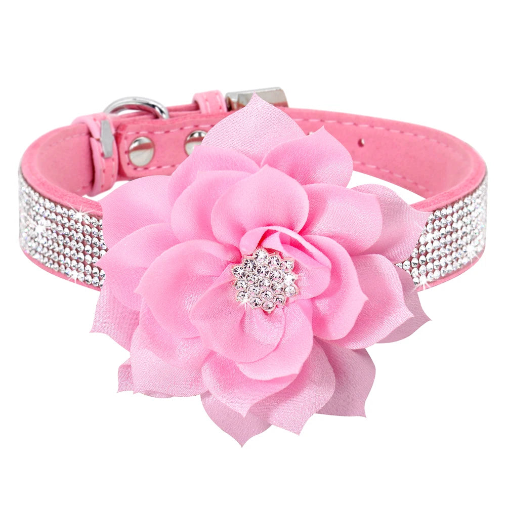 Rhinestone Dog Collar — Glitter Floral Suede Leather Collar & Optional 4ft Leash Set | Black, Blue, Pink & Purple | XS–L