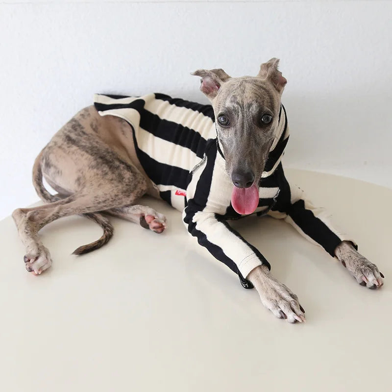 Winter Knitted Thing Dog Greyhound 2 Legged  Long Sleeve Pet Shirts Slim Dog Whibitt Pajamas Sweatshirts Knitwear