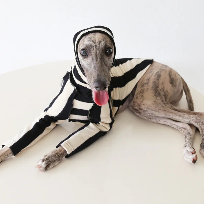 Winter Knitted Thing Dog Greyhound 2 Legged  Long Sleeve Pet Shirts Slim Dog Whibitt Pajamas Sweatshirts Knitwear