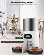 The SmartFeast Double Feeder