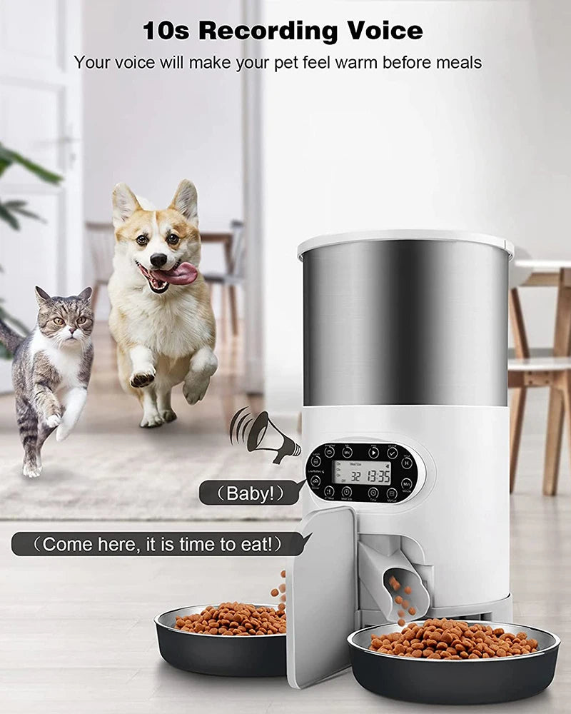 The SmartFeast Double Feeder