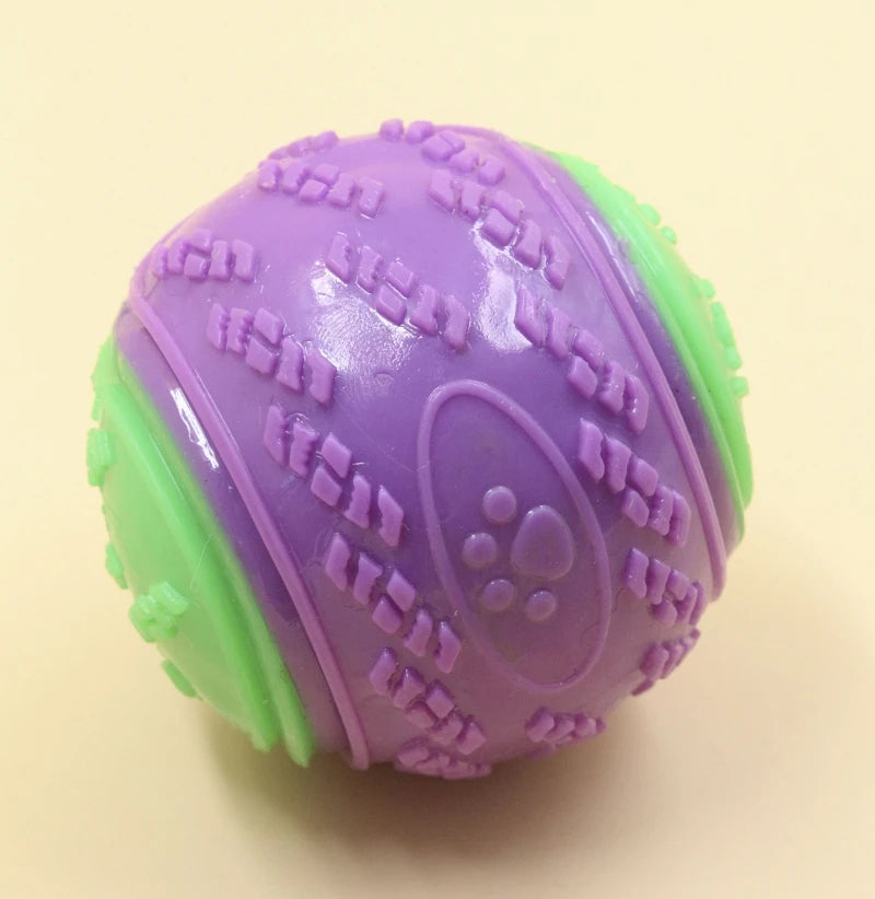 Squeaky Dog Ball Toy — Soft TPR Bite-Resistant Chew Toy for Teeth Cleaning & Interactive Play