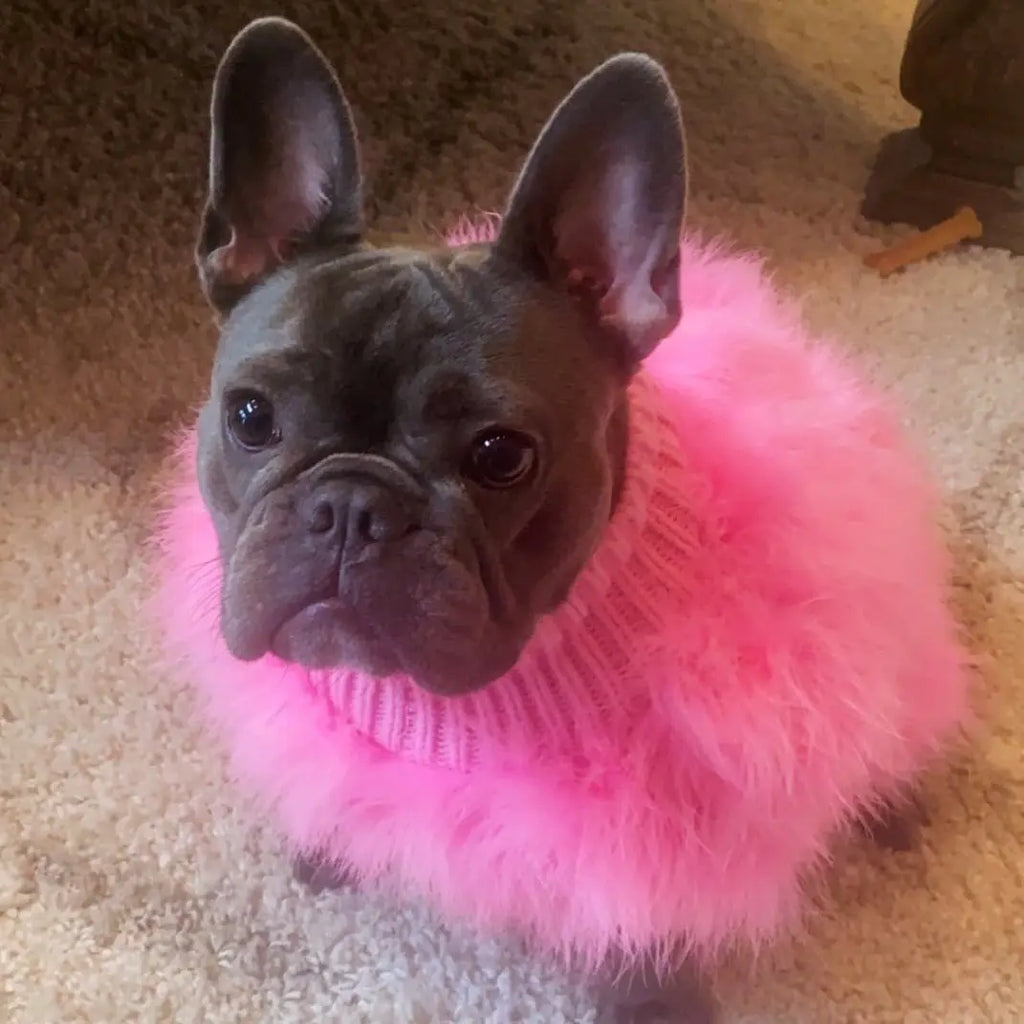 Luxury Fur Dog Coat — Warm Core Yarn Sweater for French Bulldogs, Pugs & Small Breeds | Autumn & Winter | 3 Colors