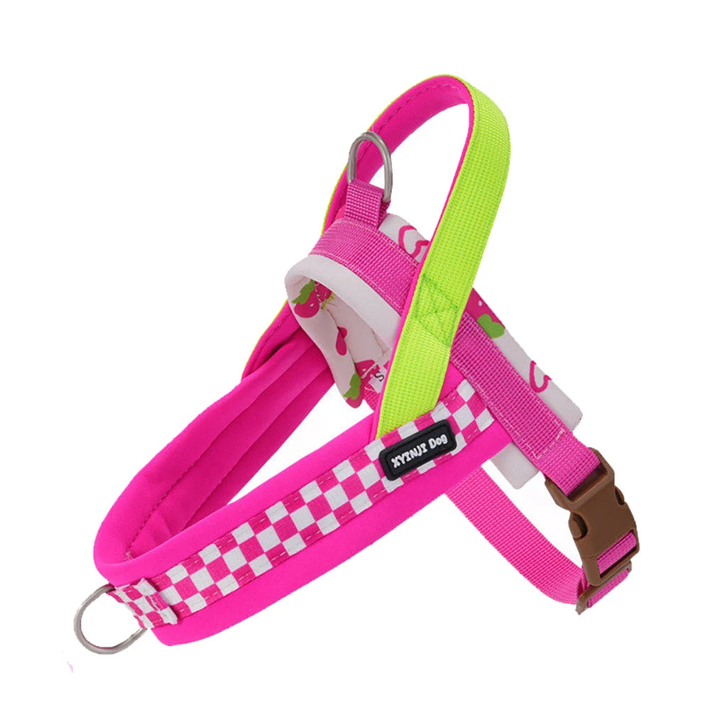 Plaid Saddle-Style Puppy Harness & Leash Set
