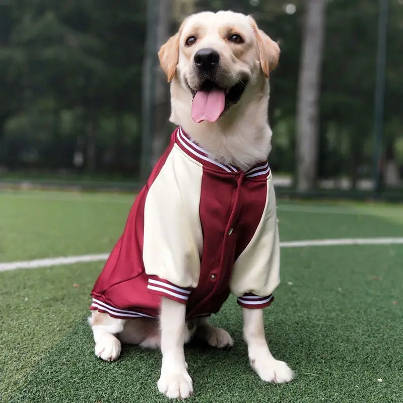 Big Dog Baseball Suit