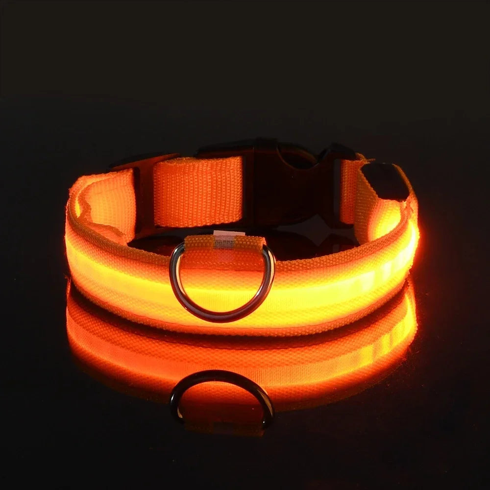 LED Glow Dog Collar & Leash | Nylon Night Safety Flashing Collar