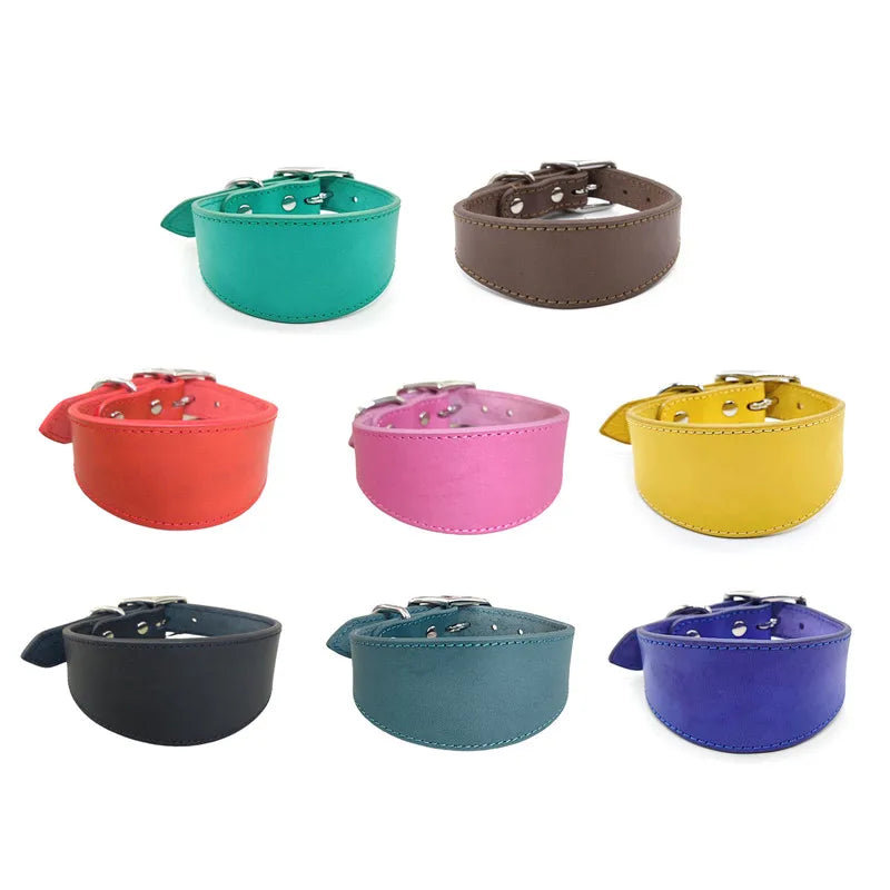 Padded Leather Sighthound Dog Collar