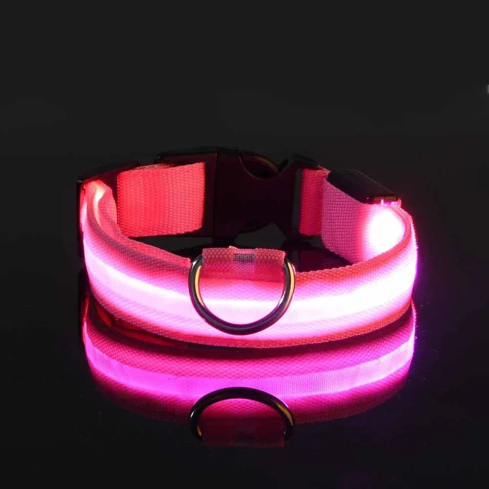 LED Glow Dog Collar & Leash | Nylon Night Safety Flashing Collar