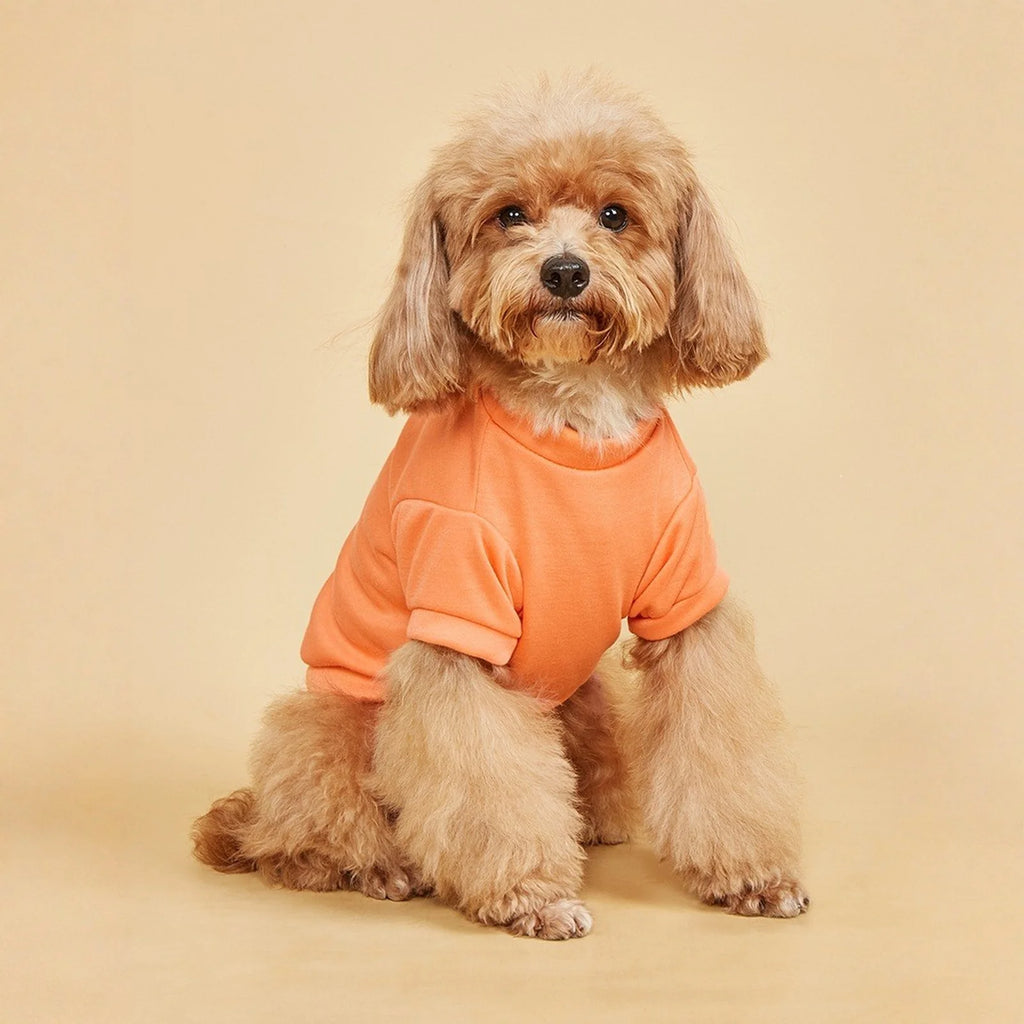 Lightweight Dog T-Shirt