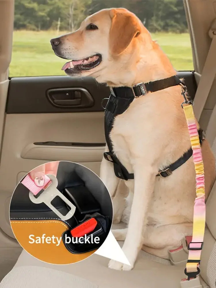 Nylon Pet Safety Seat Belt with Elastic Bungee Buffer Reflective