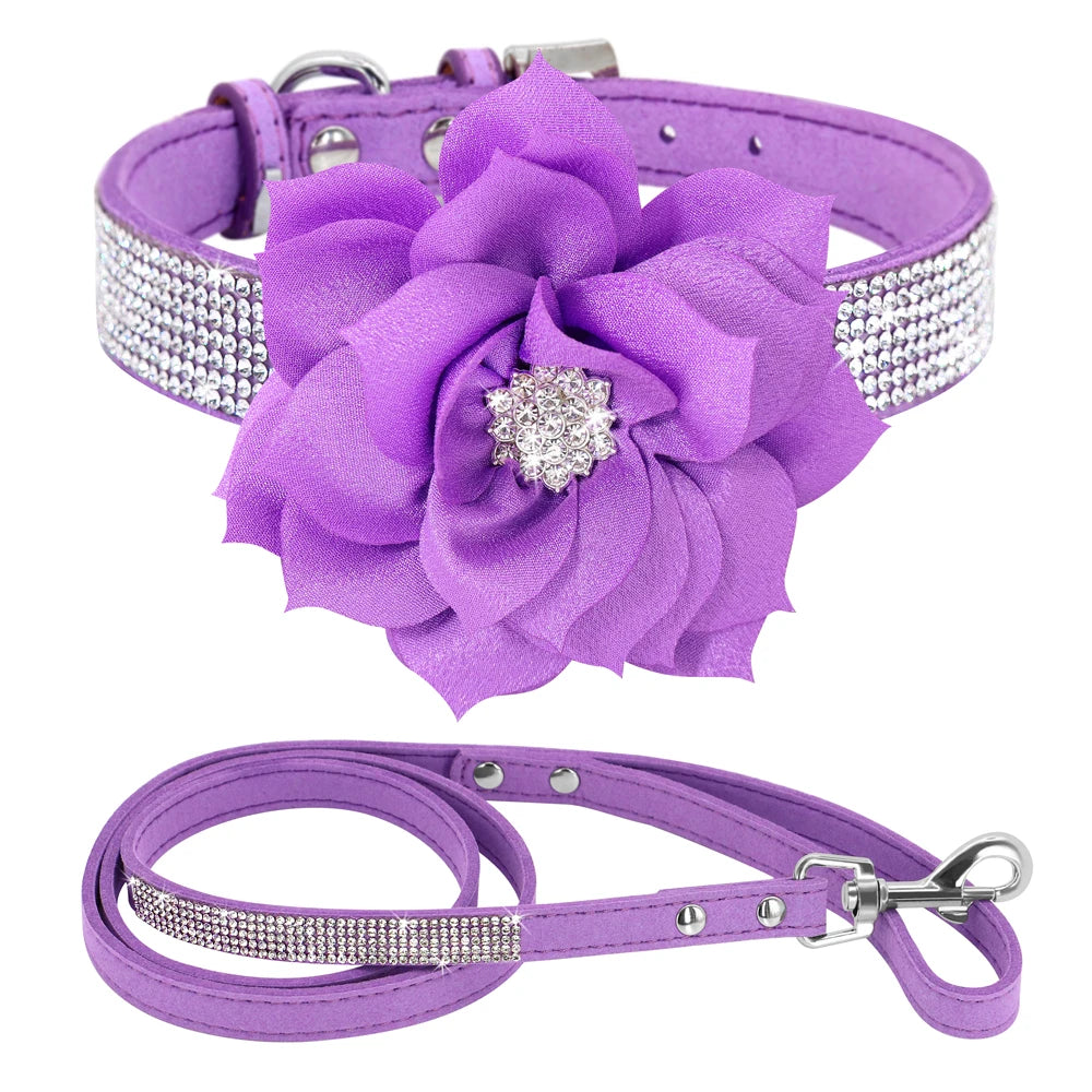 Rhinestone Dog Collar — Glitter Floral Suede Leather Collar & Optional 4ft Leash Set | Black, Blue, Pink & Purple | XS–L